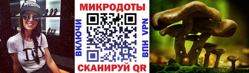 Псилоцибиновые грибы Psilocybine cubensis  Лаишево 
